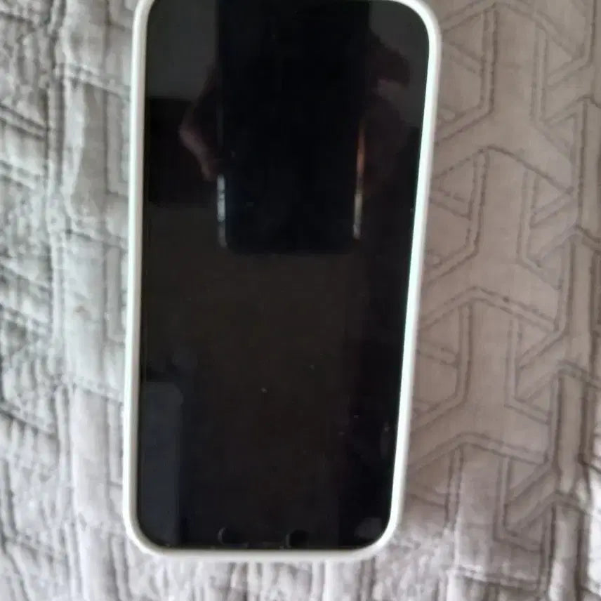 [BUNJANG] Apple iPhone 13 Pro Max 128GB Silver / 아이폰 13 Pro Max 실버 128GB (배터리84, 새상품급)