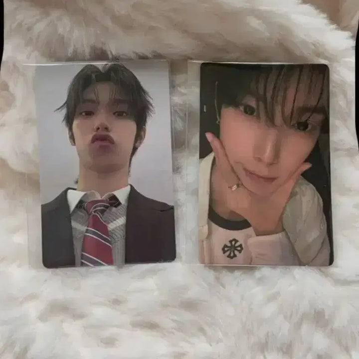 [BUNJANG] BOYS PLANET Sung Hanbin Exhibition Bundle Set Photocard / 보이즈플래닛 최립우 전시회 포카 일괄양도