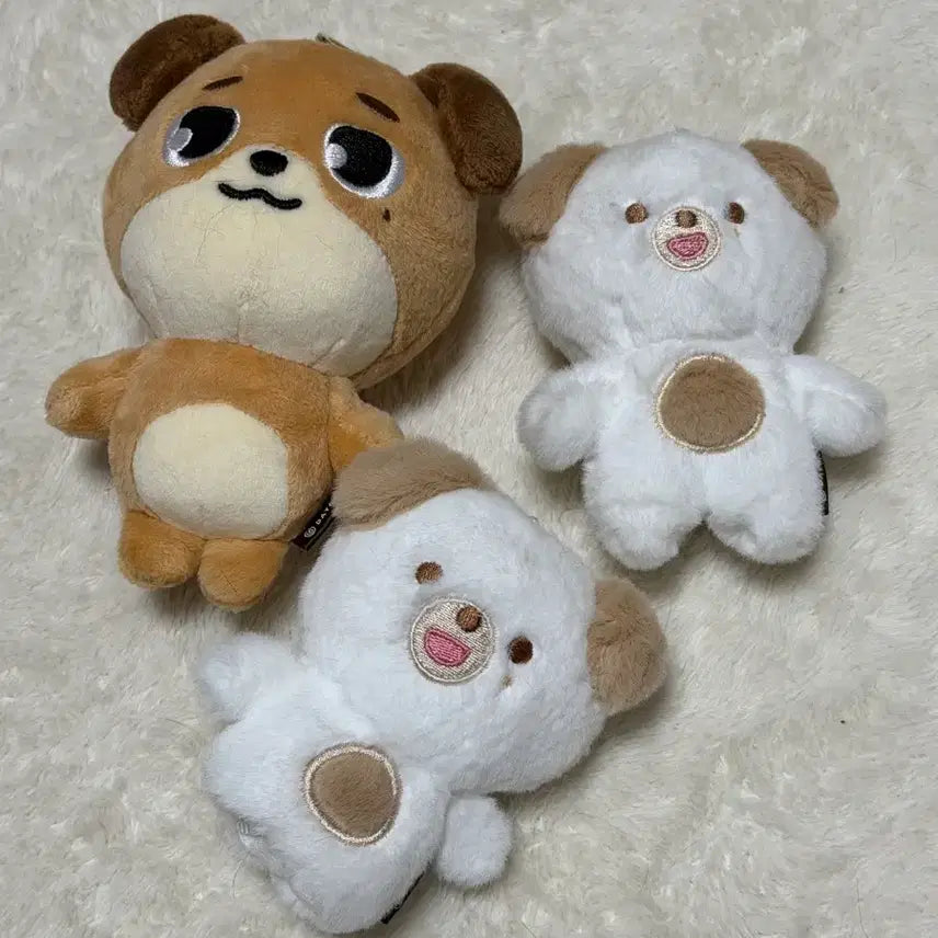 [BUNJANG] DAY6 Young K Bundle Set / 데이식스 돈 일괄