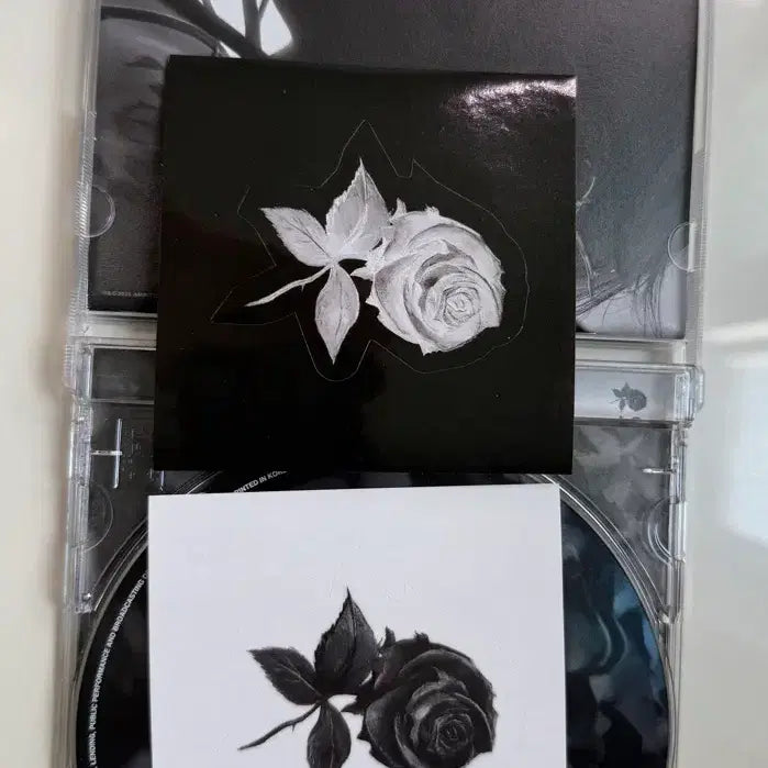 [BUNJANG] Ash Island Rose Album / 애쉬아일랜드 로즈 앨범