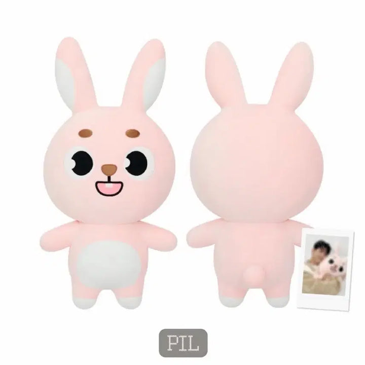 [BUNJANG] DAY6 Young K Giant Denimals Wonpil Philkki / 데이식스 자이언트 데니멀즈 원필 필끼