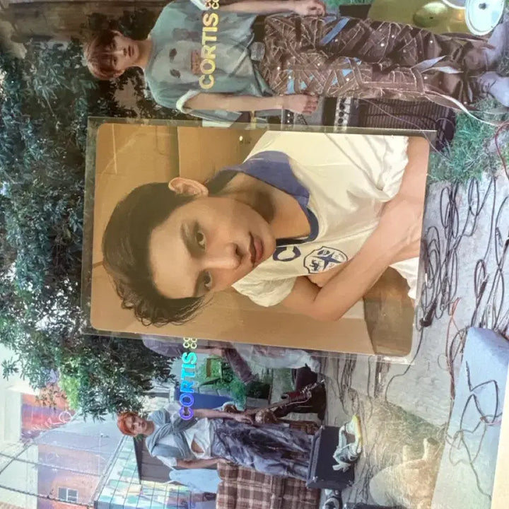 [BUNJANG] Curtiss Album (Sealed) Photocard Included / 코르티스 개봉앨범 판매 포카포함