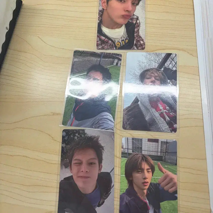 [BUNJANG] Koltis Photocard POB Bundle Set / 콜티스 포카 미공포 일괄