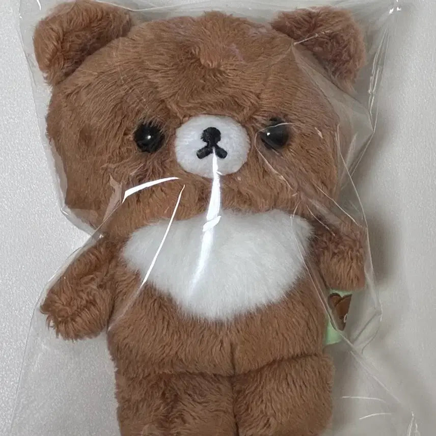 [BUNJANG] Chairoikoguma Standing Mini Doll / 차이로이코구마 자립 미니 인형
