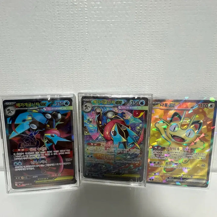 [SOLD OUT] 포켓몬 카드 메가 개굴닌자 sar,sr 등 일괄