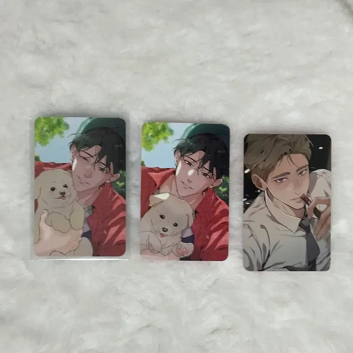 [BUNJANG] Mr. Blue Jeonlipseon Hamrak Bogoseo (Full Set) Limited Edition Photocard / 전립선 함락 보고서 전함보 5특 오만원 특전 포카 미블 미스터블루 팝업
