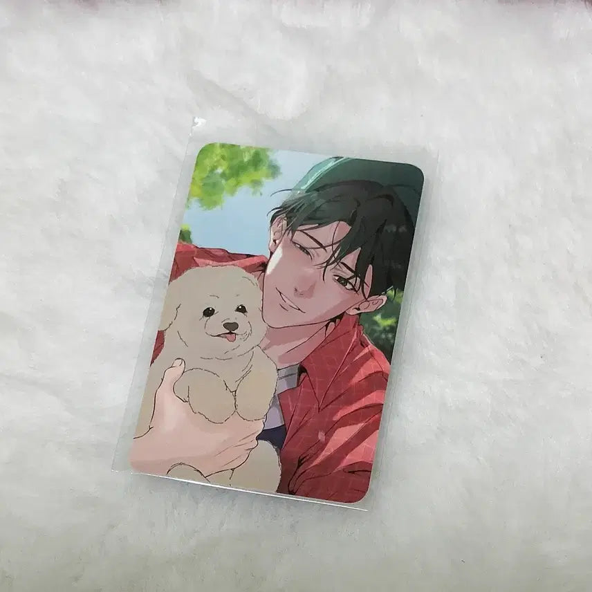 [BUNJANG] Mr. Blue Jeonlipseon Hamrak Bogoseo (Full Set) Limited Edition Photocard / 전립선 함락 보고서 전함보 5특 오만원 특전 포카 미블 미스터블루 팝업