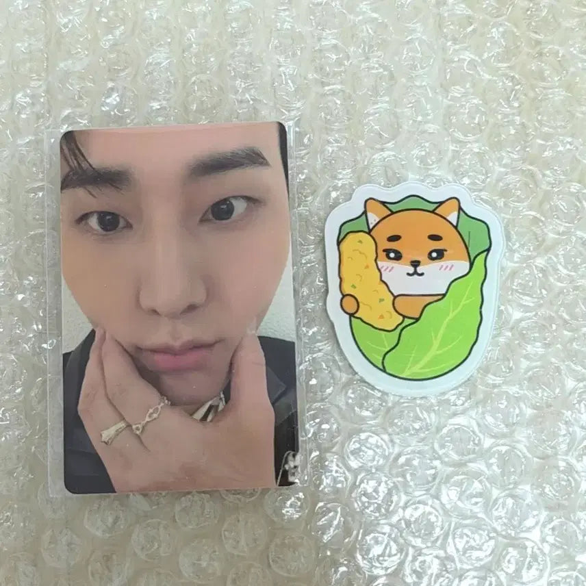 [SOLD OUT] 데이식스 광주 마그넷 영케이 포토카드