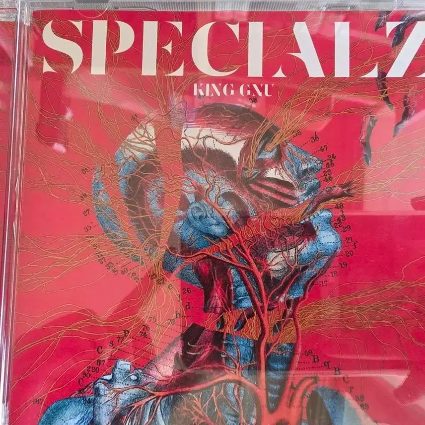 [SOLD OUT] 킹누 SPECIALZ CD 판매