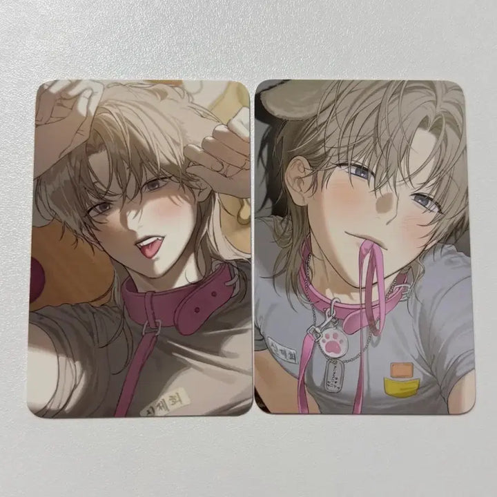 [BUNJANG] Jaehee Photocard Bundle Set / 사용후 반품불가 사반불 제희 포카 일괄 미블 팝업