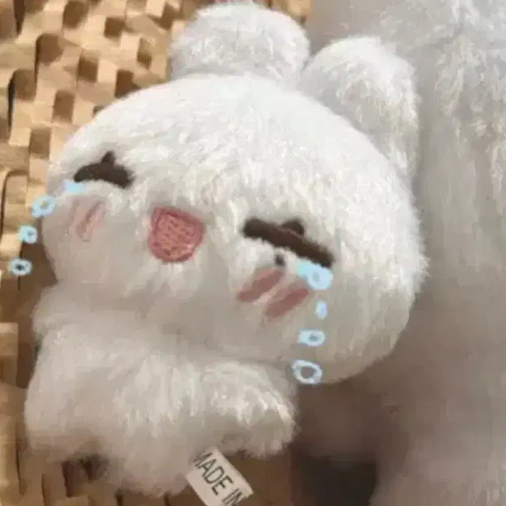 [BUNJANG] ENHYPEN Sunoo Doll Happy Ddn / 엔하이픈 선우 인형 해피떤