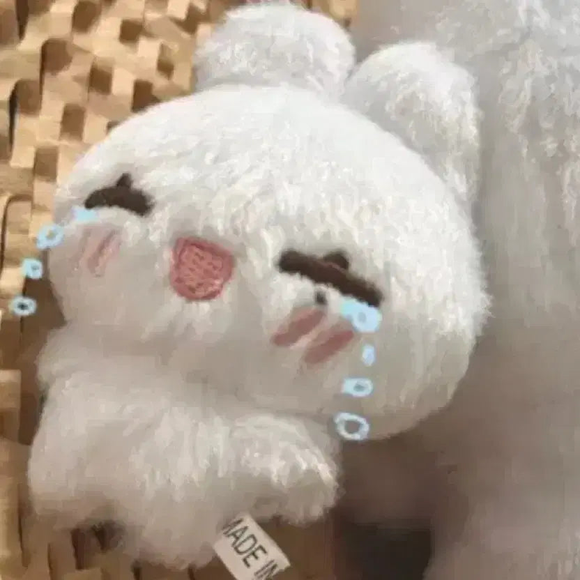 [BUNJANG] ENHYPEN Sunoo Doll Happy Ddn / 엔하이픈 선우 인형 해피떤