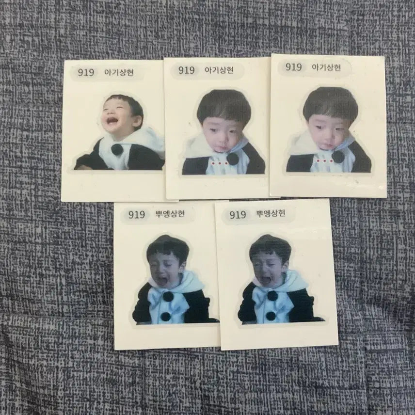 [BUNJANG] Aldiwon Jeong Sang-hyeon Ttibusil / 알디원 정상현 띠부실 판매