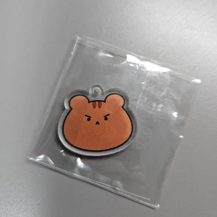 [BUNJANG] Bae Sejin Acrylic Keyring / 배세진 아크릴키링 비공굿