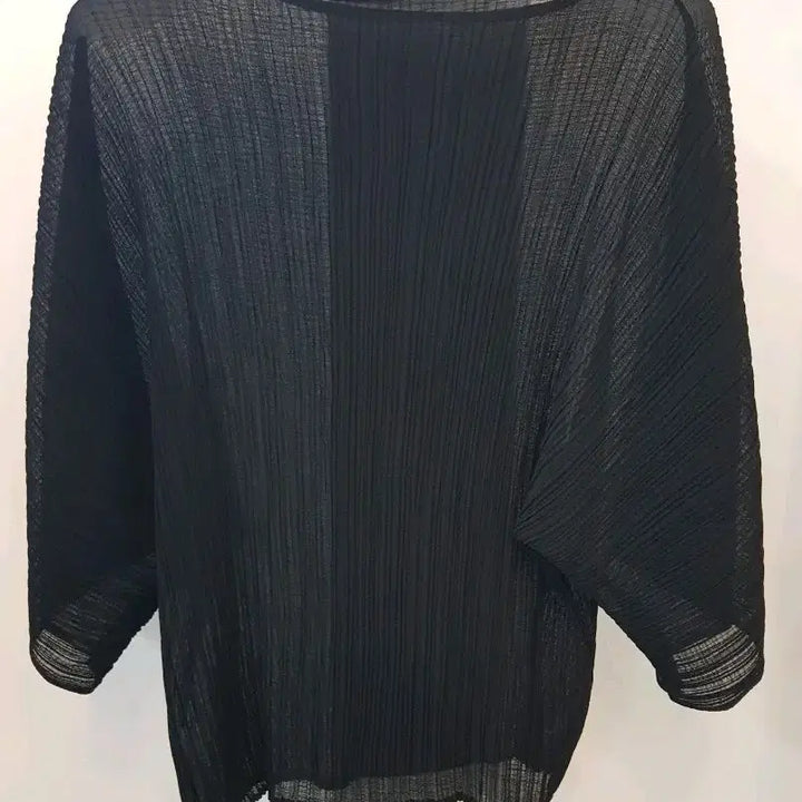 [BUNJANG] Sheer Pleated Short Sleeve Blouse (Free Size) / 시스루 플리츠 반팔 블라우스 프리