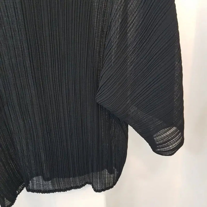 [BUNJANG] Sheer Pleated Short Sleeve Blouse (Free Size) / 시스루 플리츠 반팔 블라우스 프리