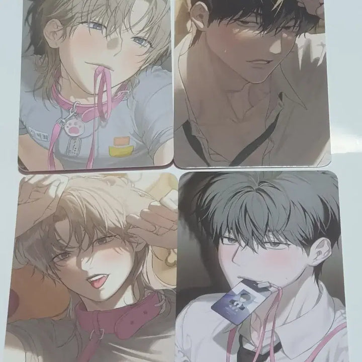 [BUNJANG] Mble Company Photocard Set (4 Types) / 미블컴퍼니 사용 후 반품불가 포카 포토카드 4종 세트