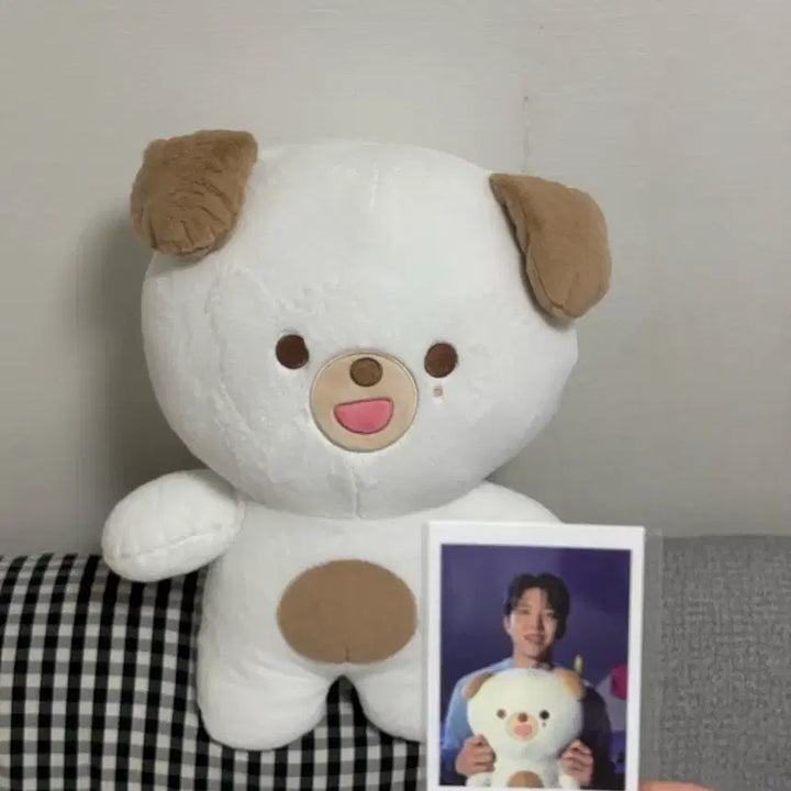[BUNJANG] Day6 Petitmals Doni Bundle Set / 데이식스 쁘띠멀즈 돈이 원가양도
