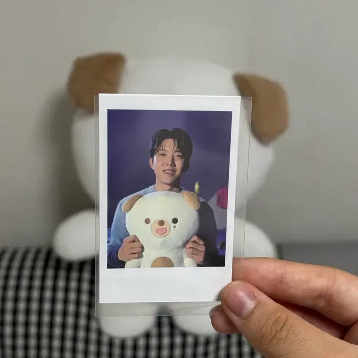 [BUNJANG] Day6 Petitmals Doni Bundle Set / 데이식스 쁘띠멀즈 돈이 원가양도