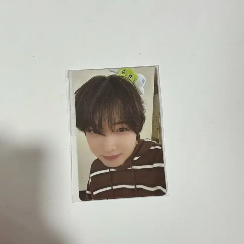 [BUNJANG] NCT WISH Sakuraya Everland Photocard (Sealed) / 사쿠야 에버랜드 포토카드 미개봉 판매 nctwish 엔시티위시