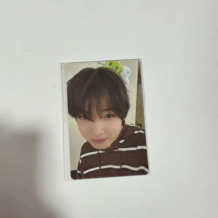 [BUNJANG] NCT WISH Sakuraya Everland Photocard (Sealed) / 사쿠야 에버랜드 포토카드 미개봉 판매 nctwish 엔시티위시