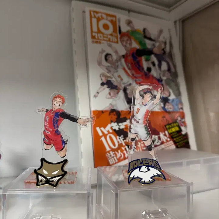 [BUNJANG] Haikyuu!! 10th Anniversary Merchandise / 하이큐 10주년