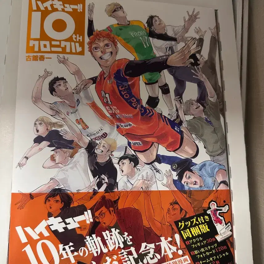 [BUNJANG] Haikyuu!! 10th Anniversary Merchandise / 하이큐 10주년