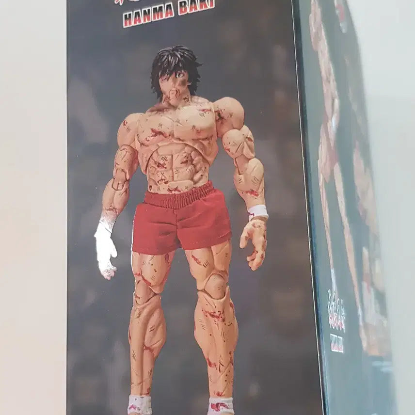 [BUNJANG] Storm Toys Baki Hanma Blood Battle Edition Action Figure / 한마 바키 블러드 에디션 피규어
