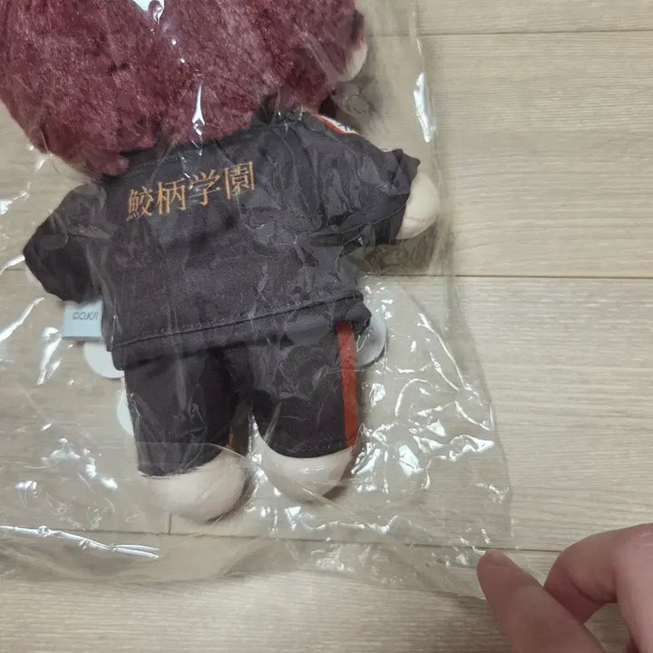 [BUNJANG] Pop Mart Kuji Matsuoka Rin Plush Doll / 오늘만)프리 free! 팝마트쿠지 마츠오카 린 누이 인형