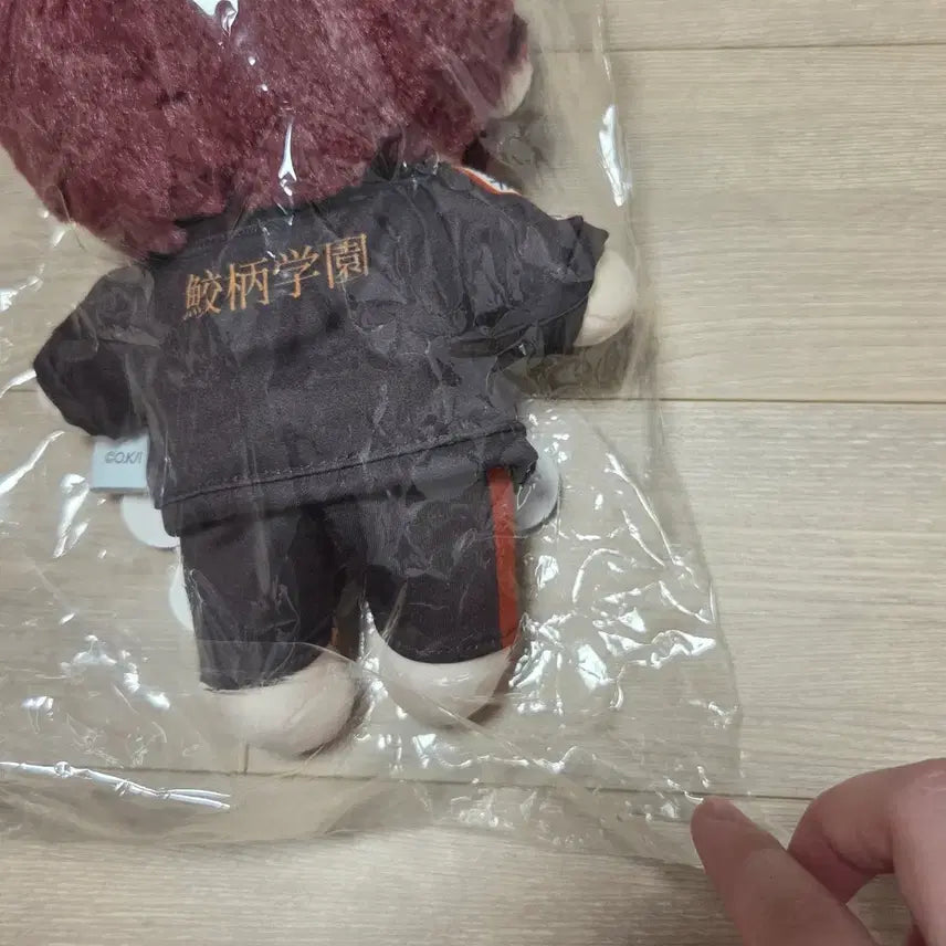 [BUNJANG] Pop Mart Kuji Matsuoka Rin Plush Doll / 오늘만)프리 free! 팝마트쿠지 마츠오카 린 누이 인형