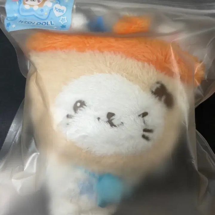 [BUNJANG] NCT WISH YUSHI Bubble Cat Early First Edition Photocard / [미개봉/극초판] 엔시티위시 위시돌 버블냥 유우시