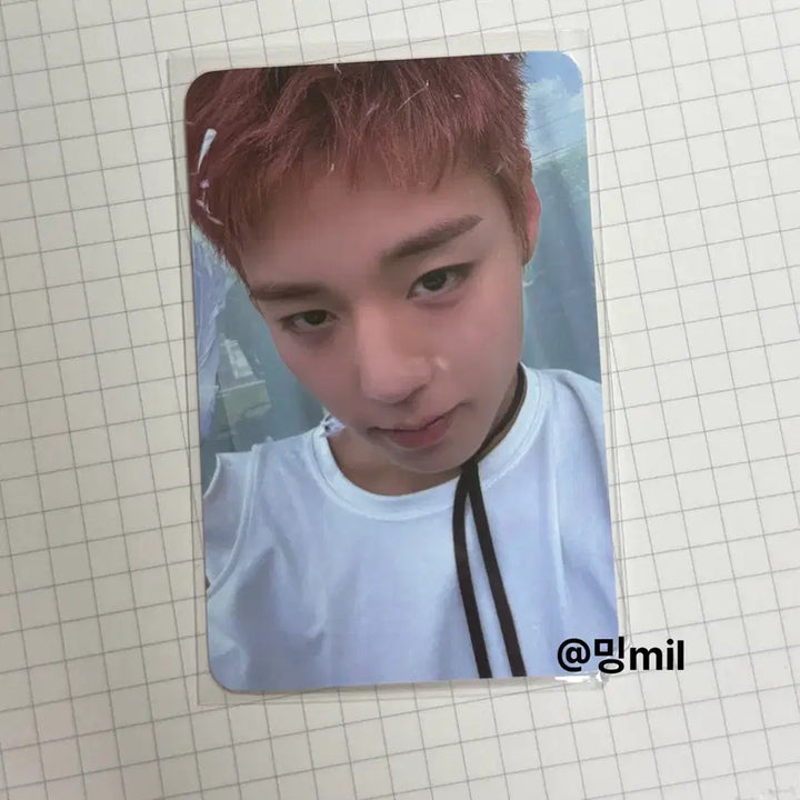 [BUNJANG] Park Ji Hoon POB Photocard / 박지훈 플브포카 판매