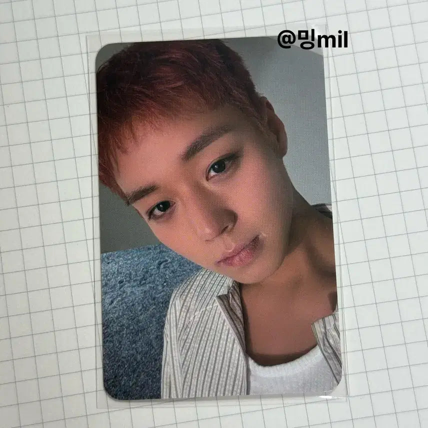 [BUNJANG] Park Ji Hoon Photocard / 박지훈 플브포카 판매