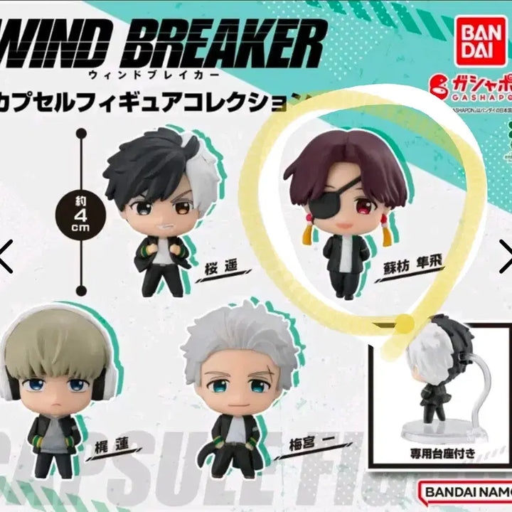 [BUNJANG] Wind Breaker Capsule Figure Suo Sealed / 윈브레 캡슐 피규어 스오