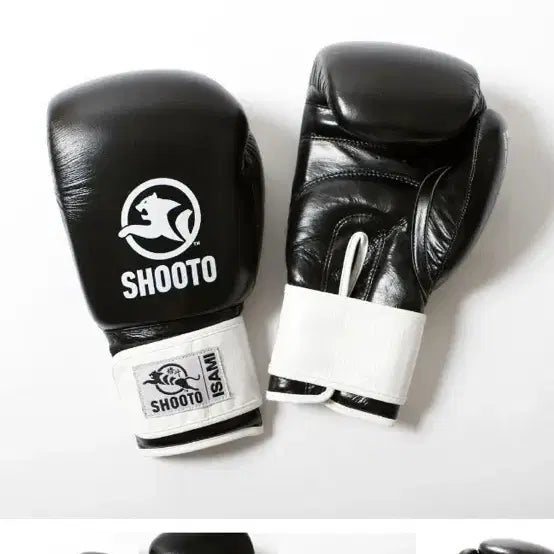 [BUNJANG] Isami 14oz Boxing Gloves / 이사미 isami 복싱 글러브 14온스