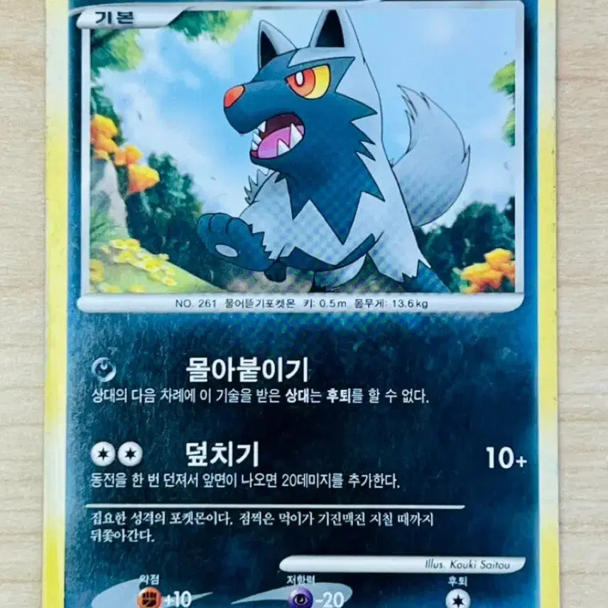 [BUNJANG] Pokémon Card Poochyena Lv.17 L1 Clash of Worlds 34/60 / [포켓몬 카드] 포챠나