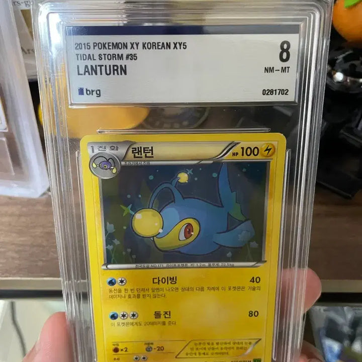 [BUNJANG] Pokémon XY Korean Edition Lantern NM-MT 8 Bright Card / 2015 한국판 랜턴 brg8