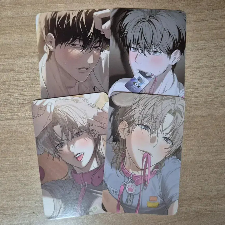 [BUNJANG] Mble Company Photocard Set Bundle Set / 미블 미블컴퍼니 사용 후 반품불가 사반품 사반불 포카 세트 드볼 일괄