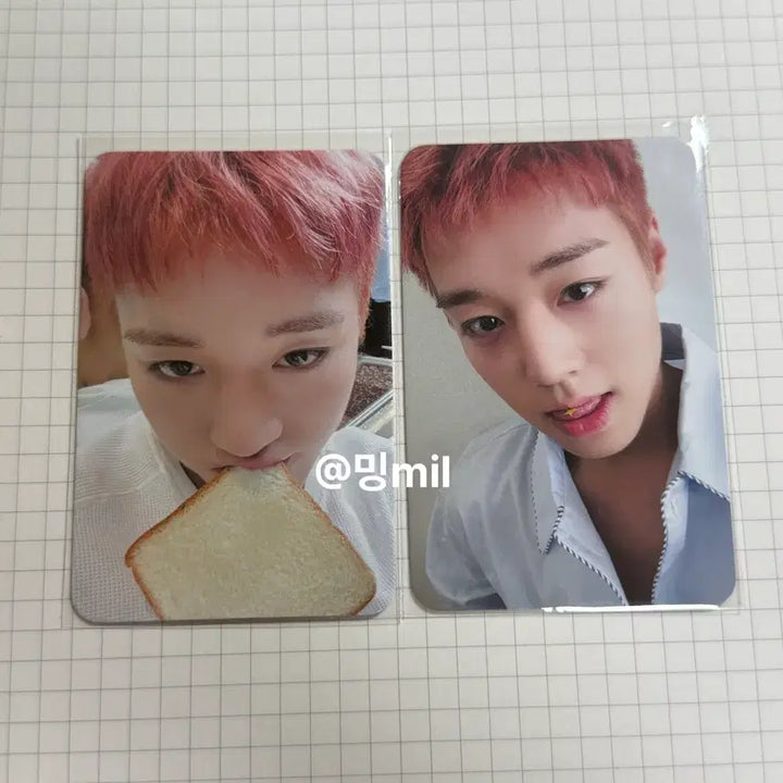 [BUNJANG] Park Jihoon M&amp;d 2 Types POB Bundle Set / 박지훈 뮤앤드 미공포 2종 일괄 판매