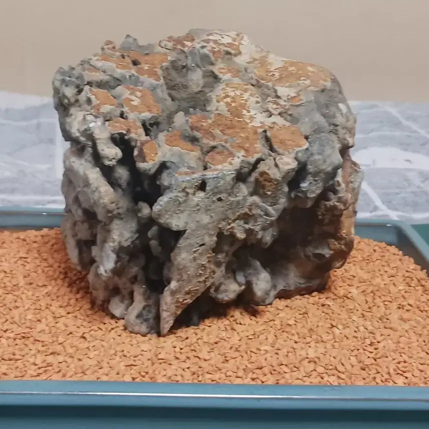 [BUNJANG] Natural Stone Viewing Stone (Okpo) / 수석(옥포)