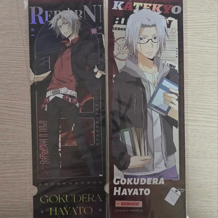 [BUNJANG] Katekyo Hitman Reborn Gokudera Hayato Bundle Set / 가히리 가정교사히트맨리본 고쿠데라 하야토 일괄 판매