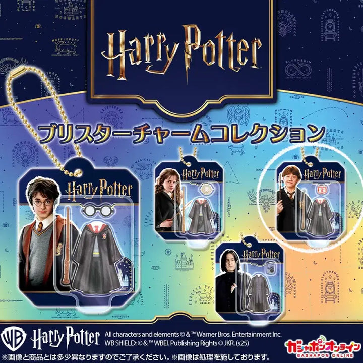 [BUNJANG] Harry Potter Blister Charm Collection Ron Weasley / 해리포터 굿즈 블리스터 챰 컬렉션 (론 위즐리)