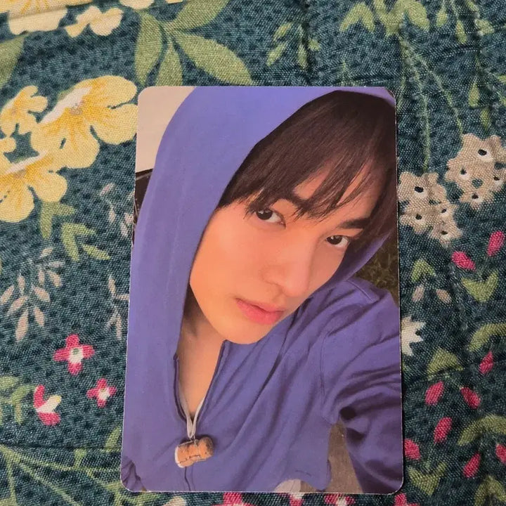 [BUNJANG] Cortis Angunho Photocard / 코르티스 안건호 cortis 포카 레드레드 그린그린 앨범 포토카드 포카