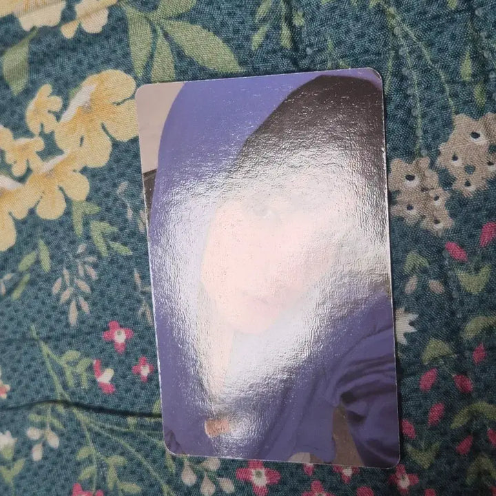 [BUNJANG] Cortis Angunho Photocard / 코르티스 안건호 cortis 포카 레드레드 그린그린 앨범 포토카드 포카