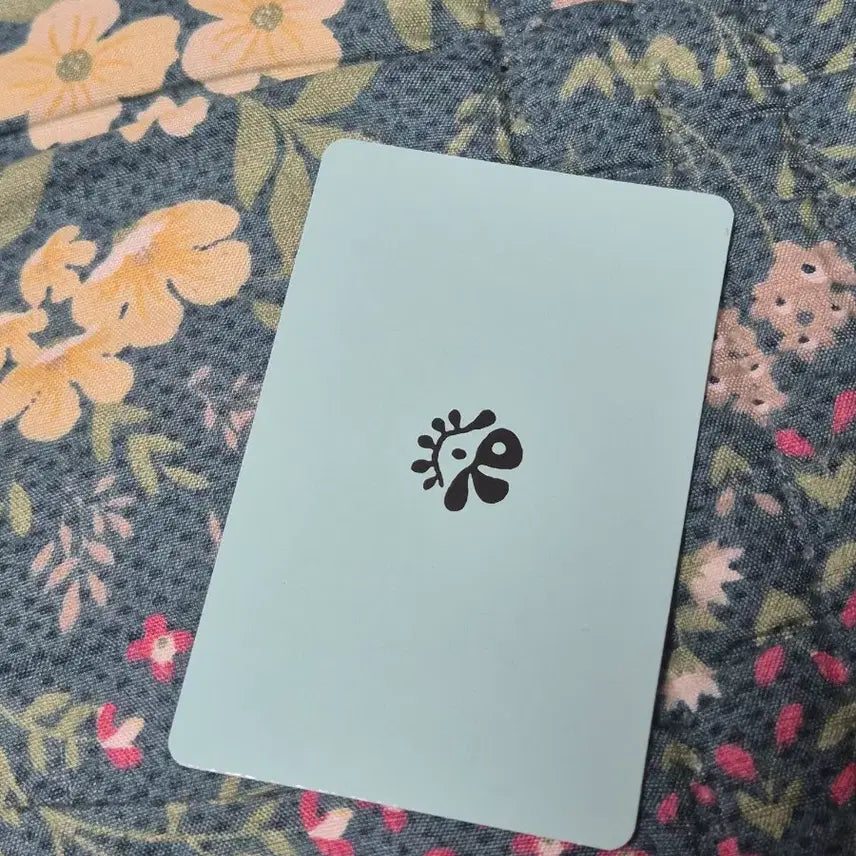 [BUNJANG] Cortis Angunho Photocard / 코르티스 안건호 cortis 포카 레드레드 그린그린 앨범 포토카드 포카