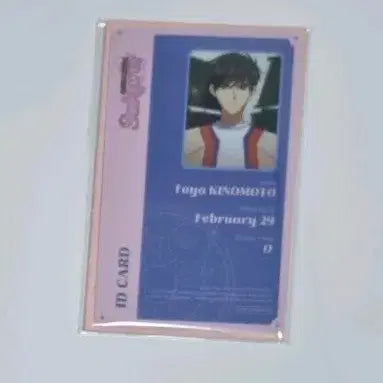 [BUNJANG] Cardcaptor Sakura Tomoyo Daidouji ID Card / 카드캡터체리 ID카드 도진