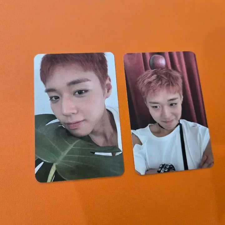 [BUNJANG] Park Ji Hoon Official Photocard &amp; Slogan Set / 박지훈 공방포카 슬로건