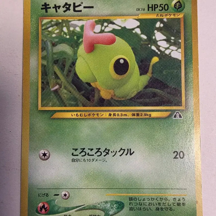 [BUNJANG] Pokemon Card 1996 Caterpie / 포켓몬카드 1996 초기 캐터피