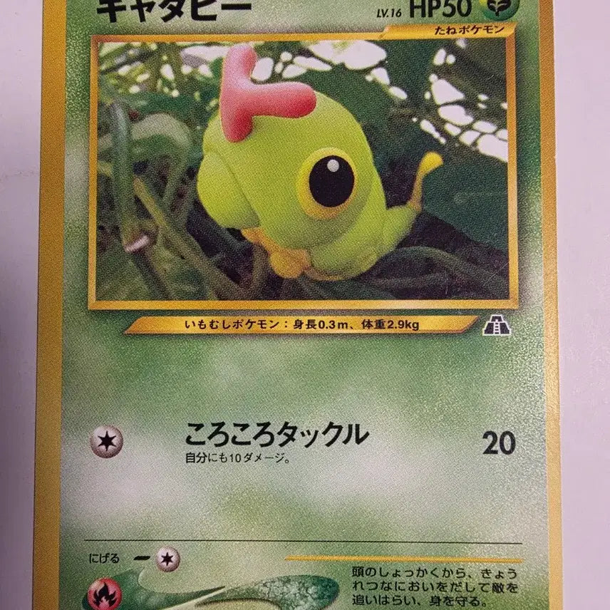 [BUNJANG] Pokemon Card 1996 Caterpie / 포켓몬카드 1996 초기 캐터피