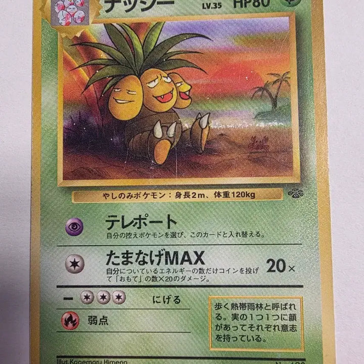 [BUNJANG] Pokemon Card 1996 Ninetales / 포켓몬카드 1996 초기 나시